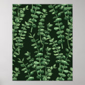 Eucalyptus 2 poster (Voorkant)