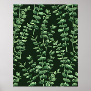 Eucalyptus 2 poster