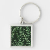 Eucalyptus 2 sleutelhanger (Voorkant)