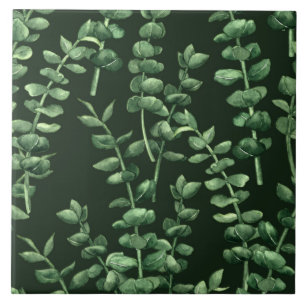 Eucalyptus 2 tegeltje