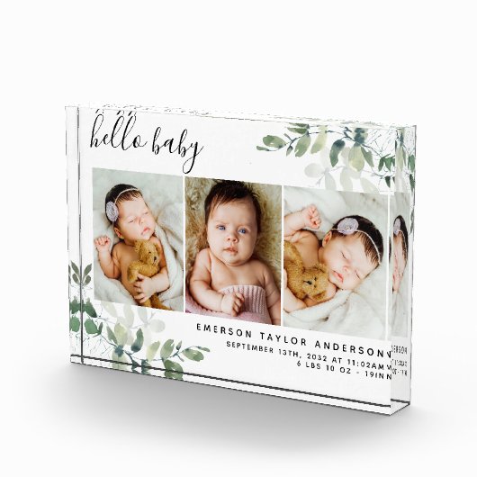 Eucalyptus 3 Foto Baby geboorte Stat (Rechts)