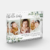 Eucalyptus 3 Foto Baby geboorte Stat (Links)