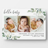 Eucalyptus 3 Foto Baby geboorte Stat Fotoplaat (voorkant)