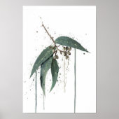 Eucalyptus’ (Australian) Poster (Voorkant)