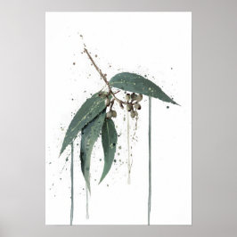 Eucalyptus’ (Australisch) Poster