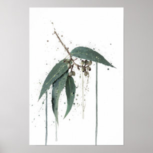 Eucalyptus’ (Australisch) Poster