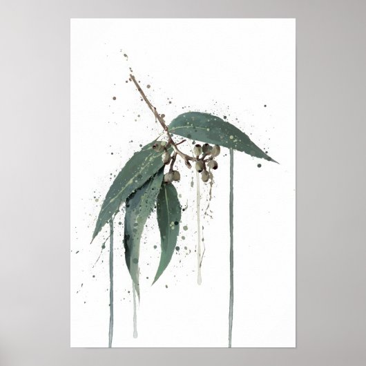 Eucalyptus’ (Australisch) Poster (Voorkant)