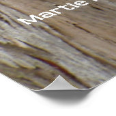 Eucalyptus Bark Poster (Hoek)