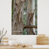 Eucalyptus Bark Poster (Keuken)