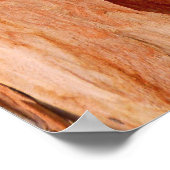 Eucalyptus Bark Poster (Hoek)