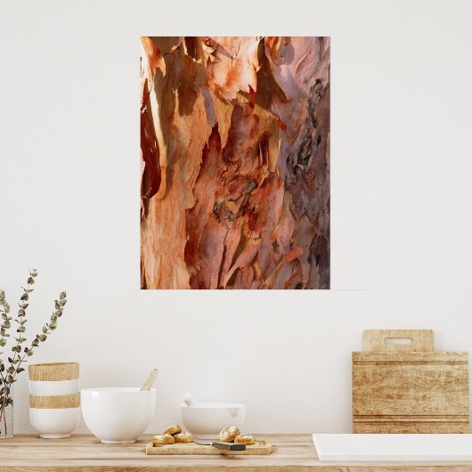 Eucalyptus Bark Poster (Keuken)