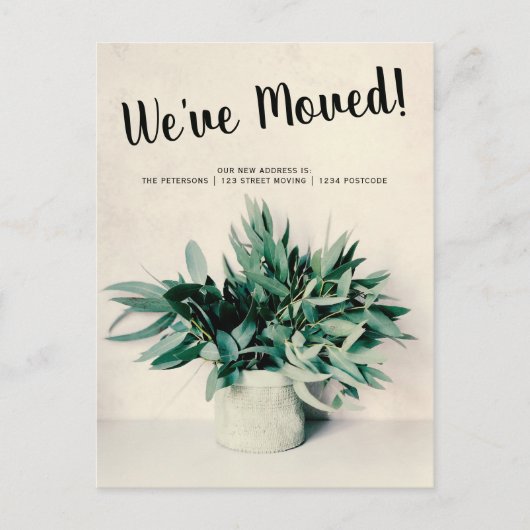 Eucalyptus bewegende aankondiging Upload uw foto (Voorkant)