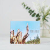 Eucalyptus boomstronk Blue Sky Briefkaart (Staand voorkant)