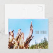 Eucalyptus boomstronk Blue Sky Briefkaart (Voorkant / Achterkant)