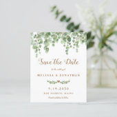 Eucalyptus Botanische Budget Weddenschap sparen de (Staand voorkant)