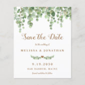 Eucalyptus Botanische Budget Weddenschap sparen de (Voorkant)