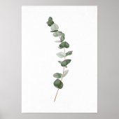 Eucalyptus Branch Poster (Voorkant)