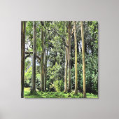 Eucalyptus Drievoudig Canvas (Voorkant)