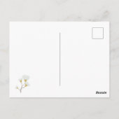 Eucalyptus Greenery Zilveren Dollar Gum Bloesems Briefkaart (Achterkant)