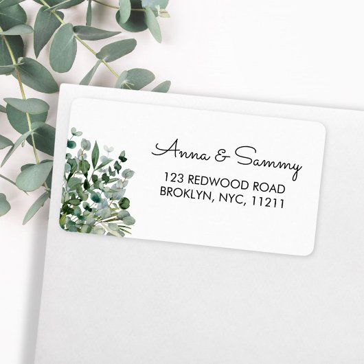 Eucalyptus Groene Bladeren Loof Adres Etiket