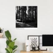 Eucalyptus Grove, UC Berkeley, 1967 Poster (Thuiskantoor)