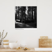 Eucalyptus Grove, UC Berkeley, 1967 Poster (Keuken)