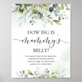 Eucalyptus hoe groot is het buikspel van mama poster (Voorkant)