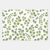 Eucalyptus Inpakpapier Plat Vellen Set van 3 (Voorkant 2)