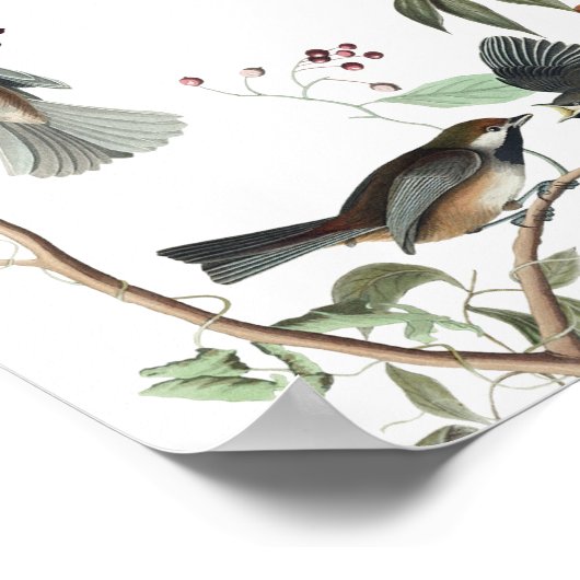 Eucalyptus leveert Greenery Wedding Seding Chart Poster (Hoek)