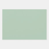 Eucalyptus Light Green Solid and Print Inpakpapier Vel (Voorkant)