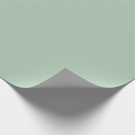 Eucalyptus Light Green Solid Color Cadeaupapier (Hoek)