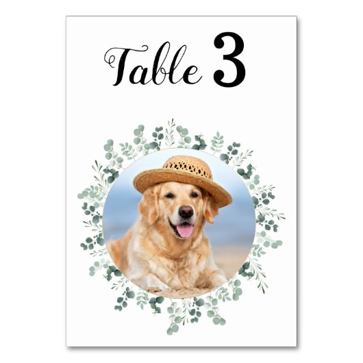 Eucalyptus Moderne Elegante Fotobruiloft Kaart (Voorkant)