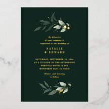 Eucalyptus moderne minimalistische elegante groene