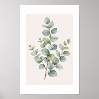 Eucalyptus-poster Poster