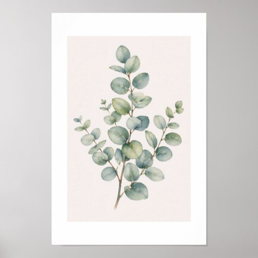 Eucalyptus-poster Poster (Voorkant)