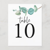 Eucalyptus Script Weddenlijstnummer (Voorkant)