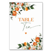 Eucalyptus sinaasappels citrus thema tabel nummer  kaart (Achterkant)