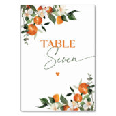 Eucalyptus sinaasappels citrus thema tabel nummer  kaart (Achterkant)