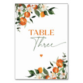 Eucalyptus sinaasappels citrus thema tabel nummer  kaart (Achterkant)