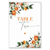 Eucalyptus sinaasappels citrus thema tabel nummer  kaart (Achterkant)