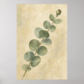Eucalyptus Stam Studie Waterverf Poster (Voorkant)