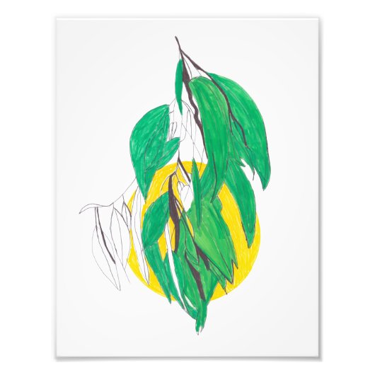 Eucalyptus tak afdruk (Voorkant)