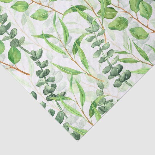 Eucalyptus Tissuepapier (Detail)