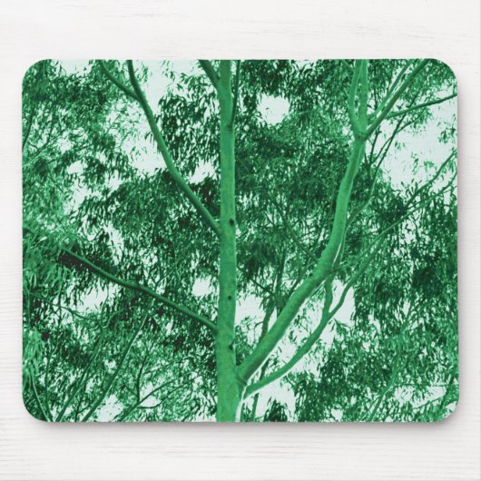 Eucalyptus Tree-fotoschildermousepad Muismat (Voorkant)