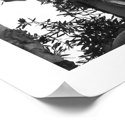 Eucalyptus Treetops Poster (Hoek)