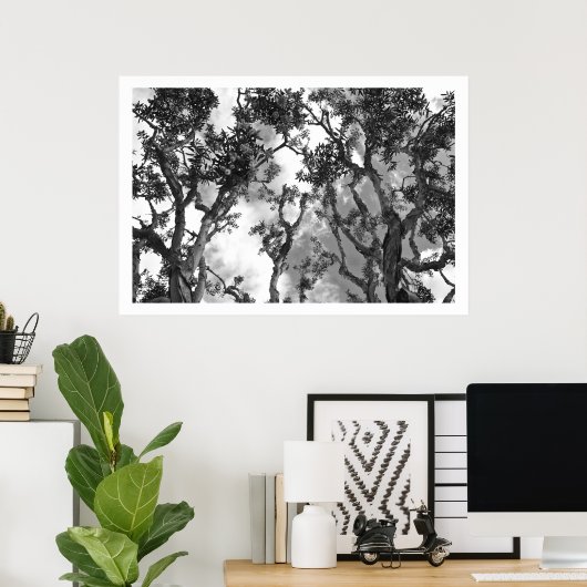 Eucalyptus Treetops Poster (Thuiskantoor)