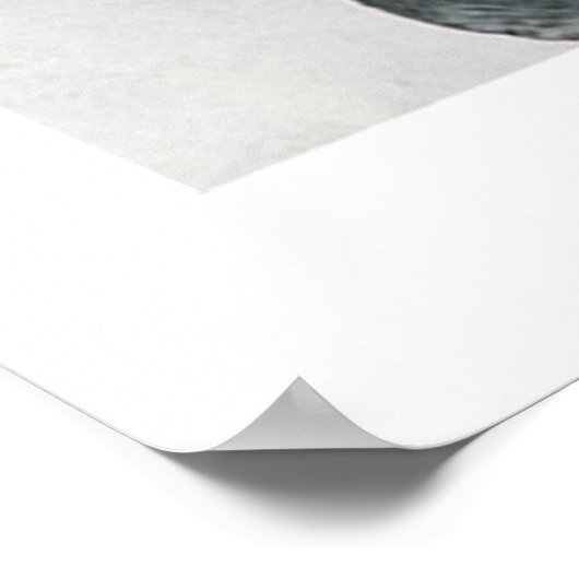 EUCALYPTUS TWIGS NO1, POSTER (Hoek)