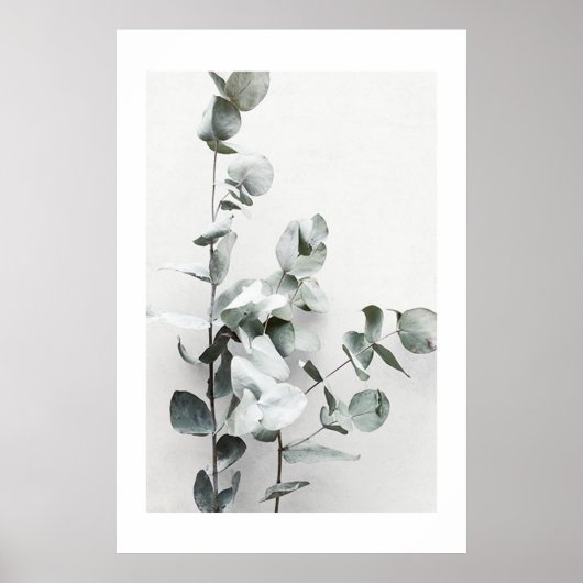 EUCALYPTUS TWIGS NO1, POSTER (Voorkant)