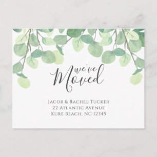 Eucalyptus We hebben een bewegende aankondiging Briefkaart
