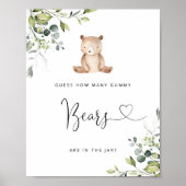 Eucalyptus weinig beer voorspelt hoeveel gomachtig poster (Voorkant)